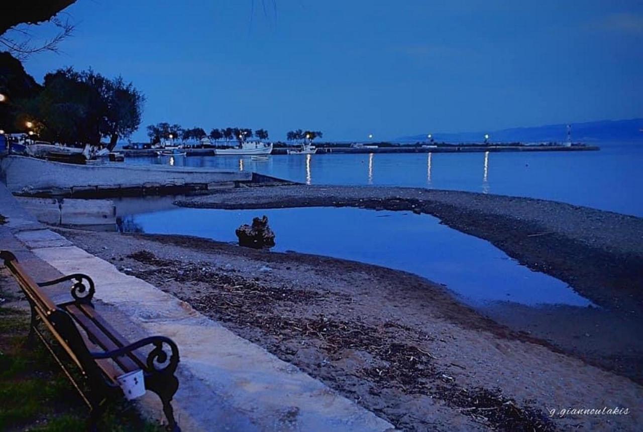 Harmony Seaside Pelion Apartment Platanias  Bagian luar foto