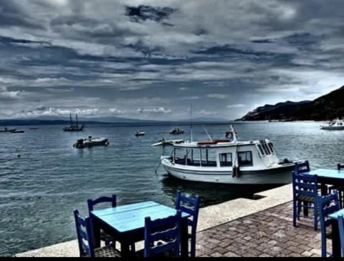 Harmony Seaside Pelion Apartment Platanias  Bagian luar foto