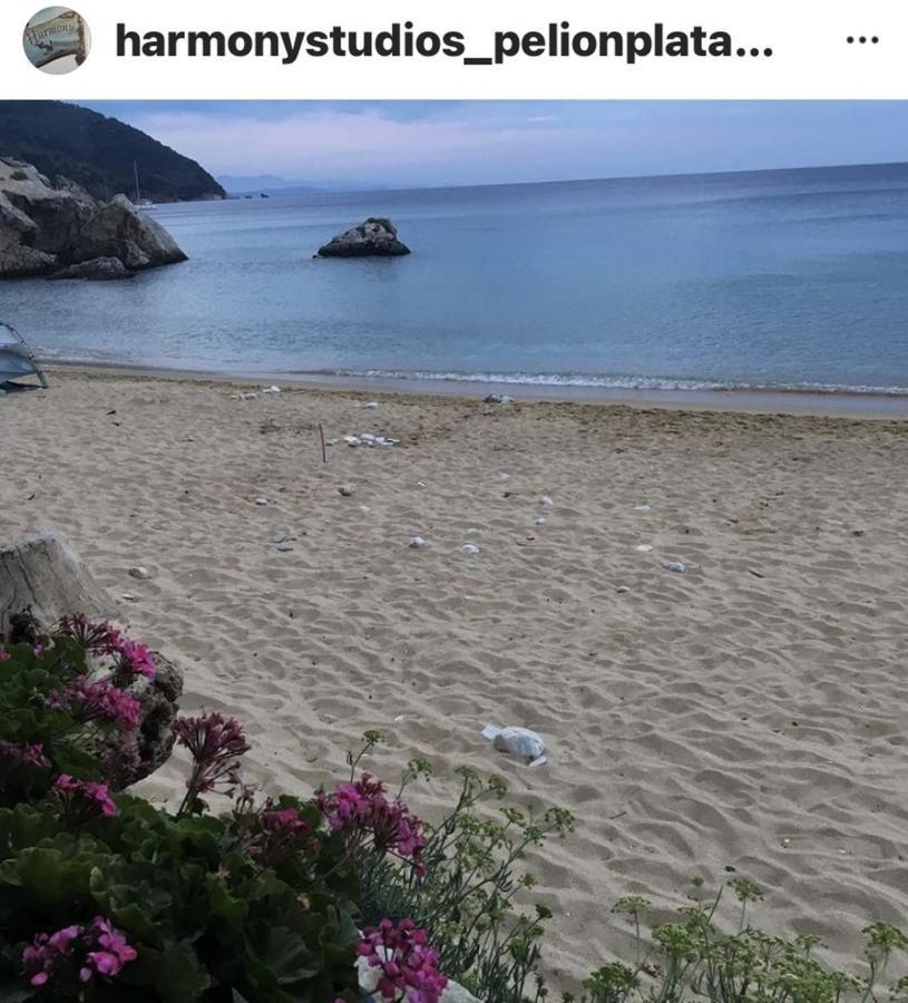 Harmony Seaside Pelion Apartment Platanias  Bagian luar foto