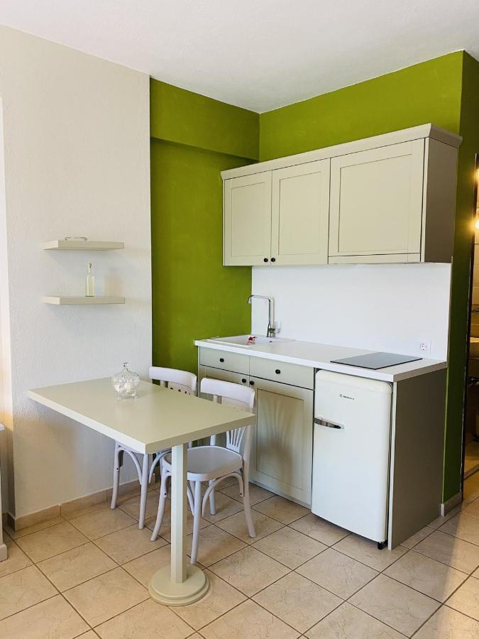 Harmony Seaside Pelion Apartment Platanias  Bagian luar foto